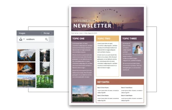 Best Newsletter Creator Software Guide in 2025